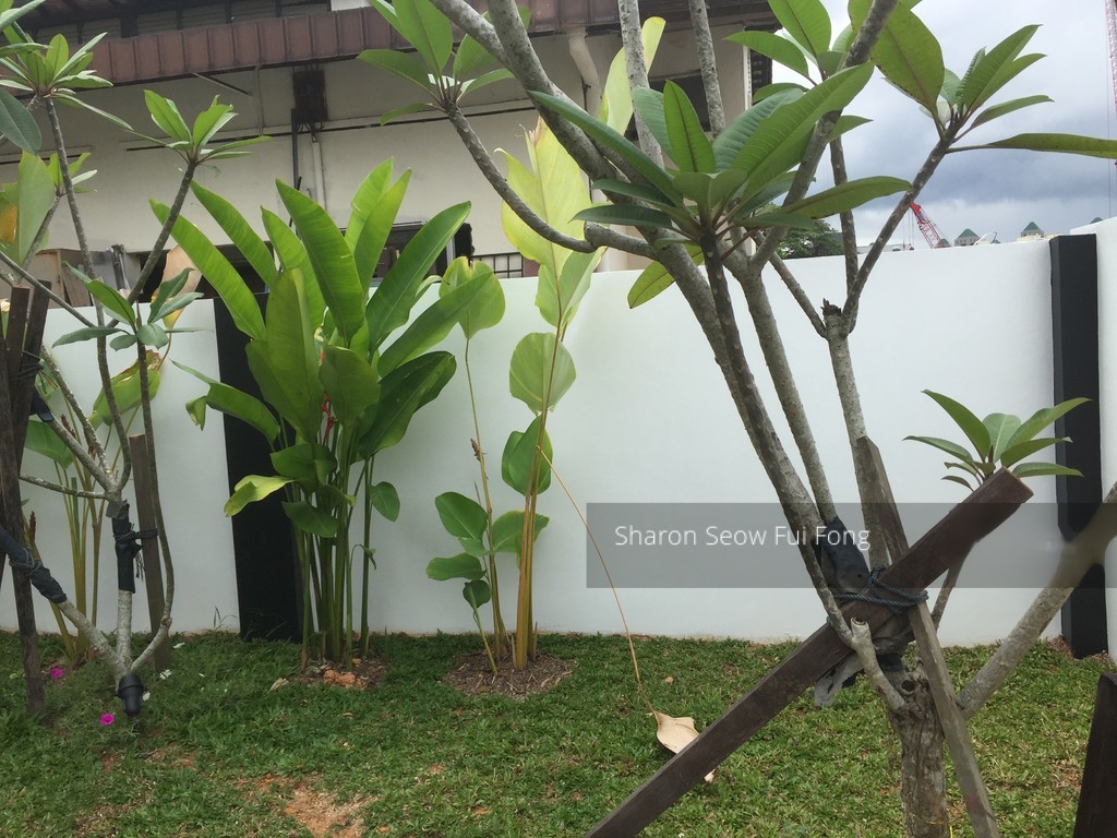 Unique Garden (D21), Semi-Detached #206408291